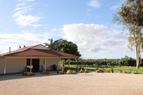 Dreamy Abode - Vineyard Retreat